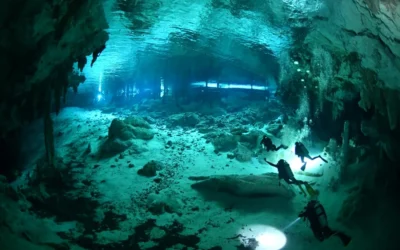Diving in cenotes in Playa del Carmen and Tulum