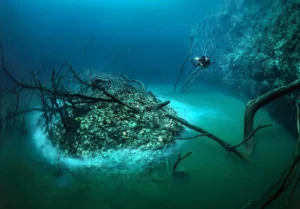 “ Cenote diving Cenote angelita”