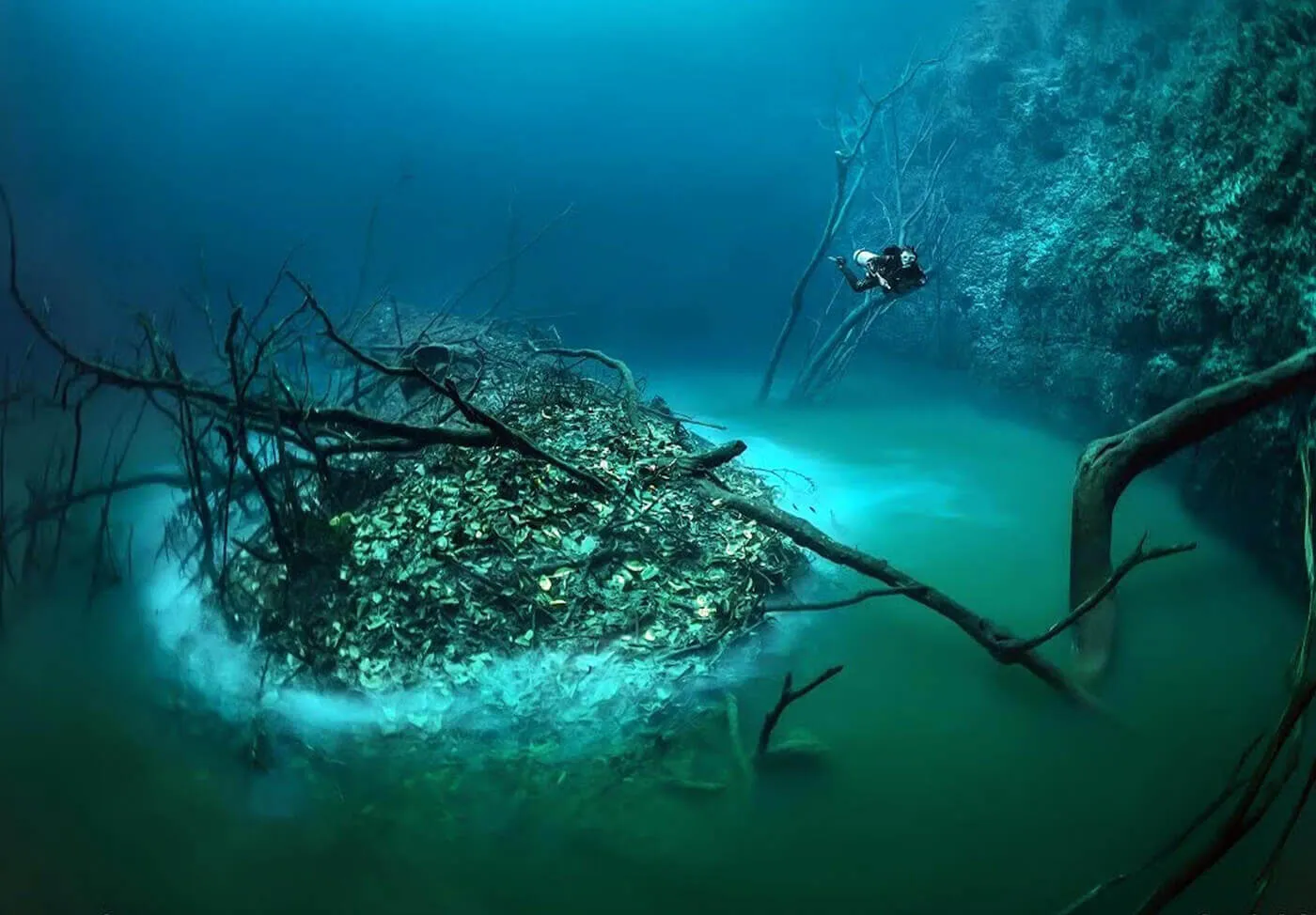 “ Cenote diving Cenote angelita”<br />
