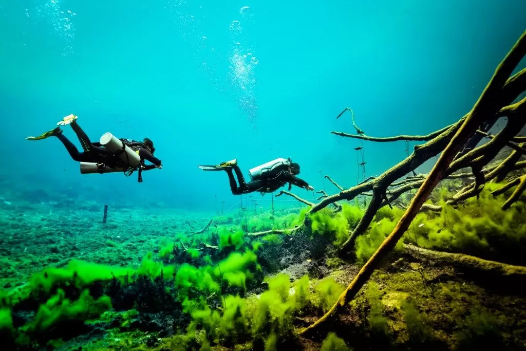  “buceo en cenote Carwash Riviera Maya”