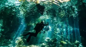 “buceo en cenote jardin del eden”